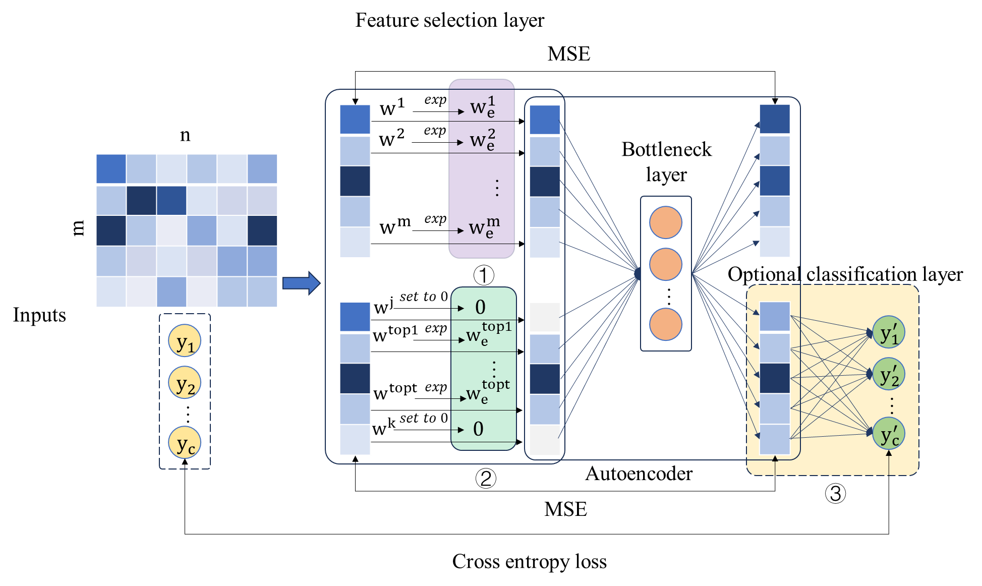 RFAE feature selection model